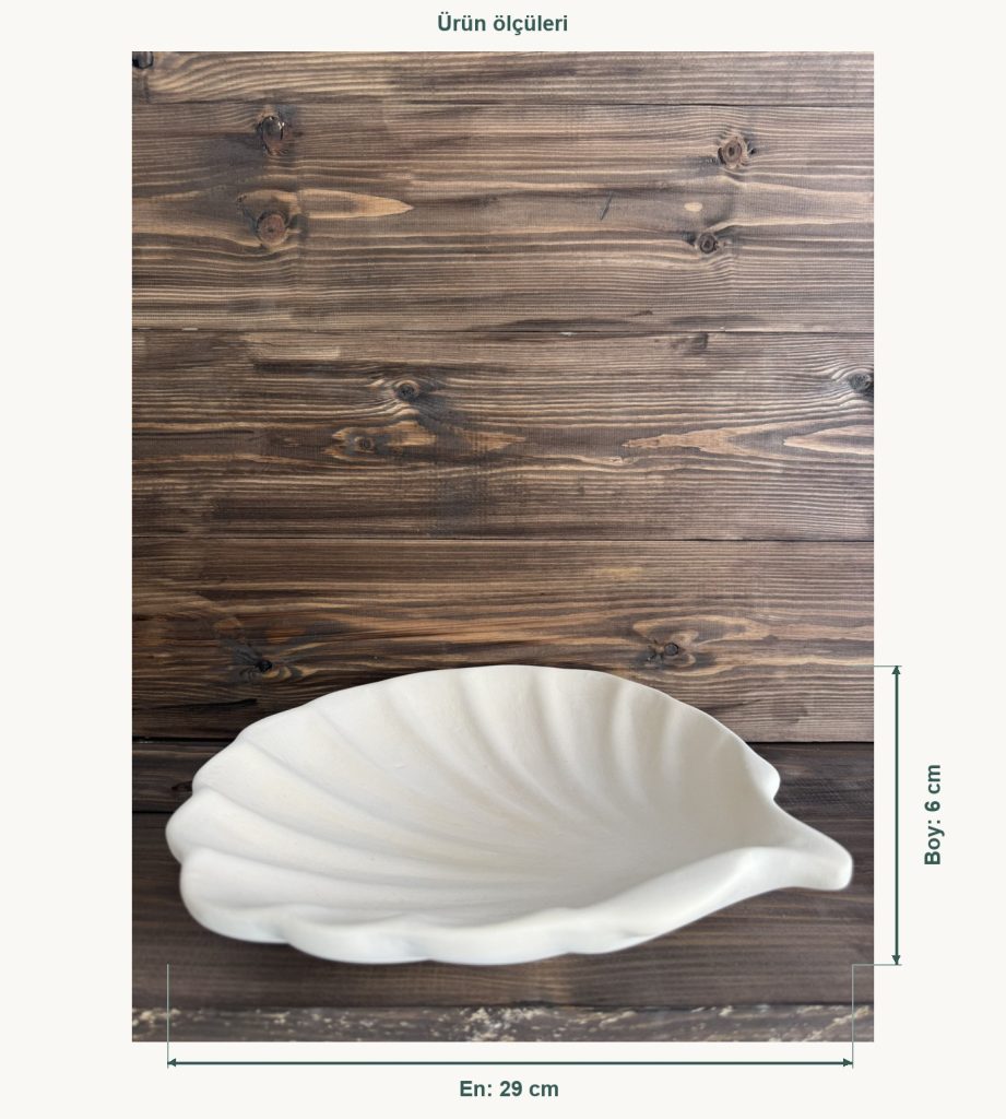 Ham Seramik Deniz Kabuğu Dekoratif Kase - En 29 cm, Boy (Yükseklik) 6 cm
